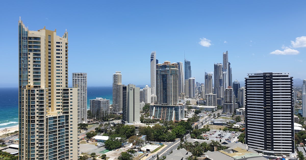 Best Practices for Safe Mold Removal in Homes