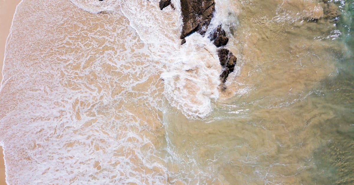 Common Causes of Sewer Backup Issues in Gold Coast Homes