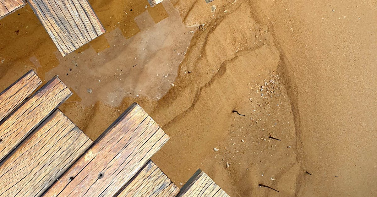 Effective Techniques for Grading Your Landscape to Prevent Water Damage