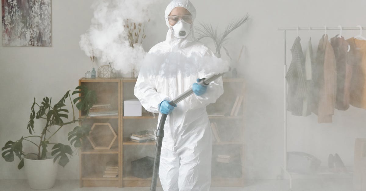 Handling and Disinfecting Decorative Items Damaged by Water