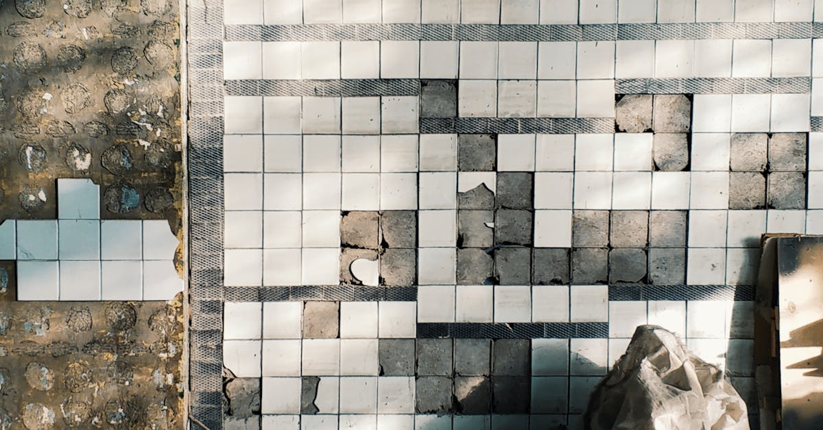 How Tree Roots Can Cause Pipe Bursts