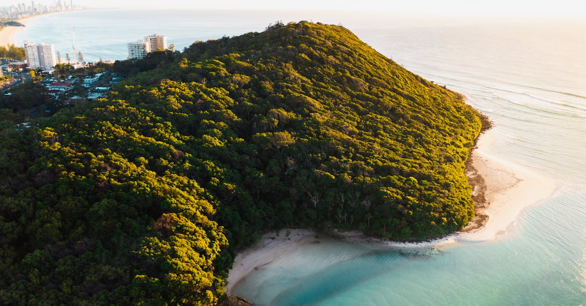 Importance of Regular Plumbing Inspections for Homeowners