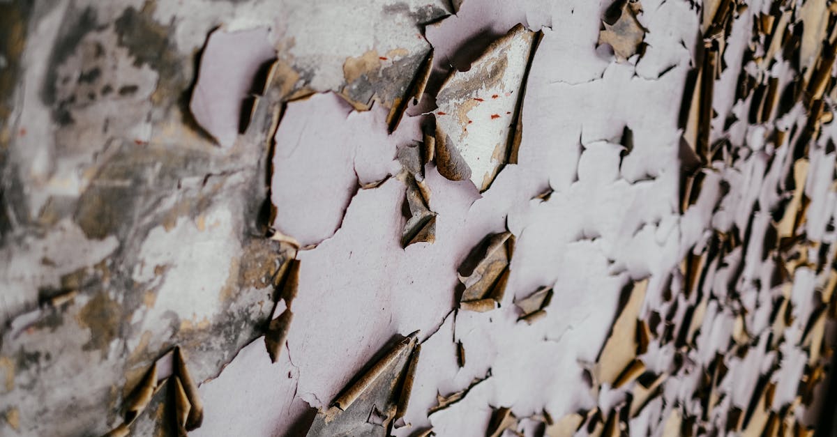 Key Signs Your Plumbing System Needs Immediate Attention