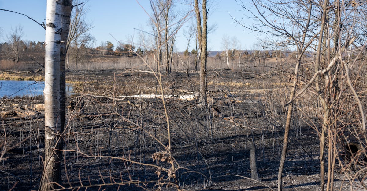 Seasonal Plumbing Maintenance Tips for Gold Coast Residents