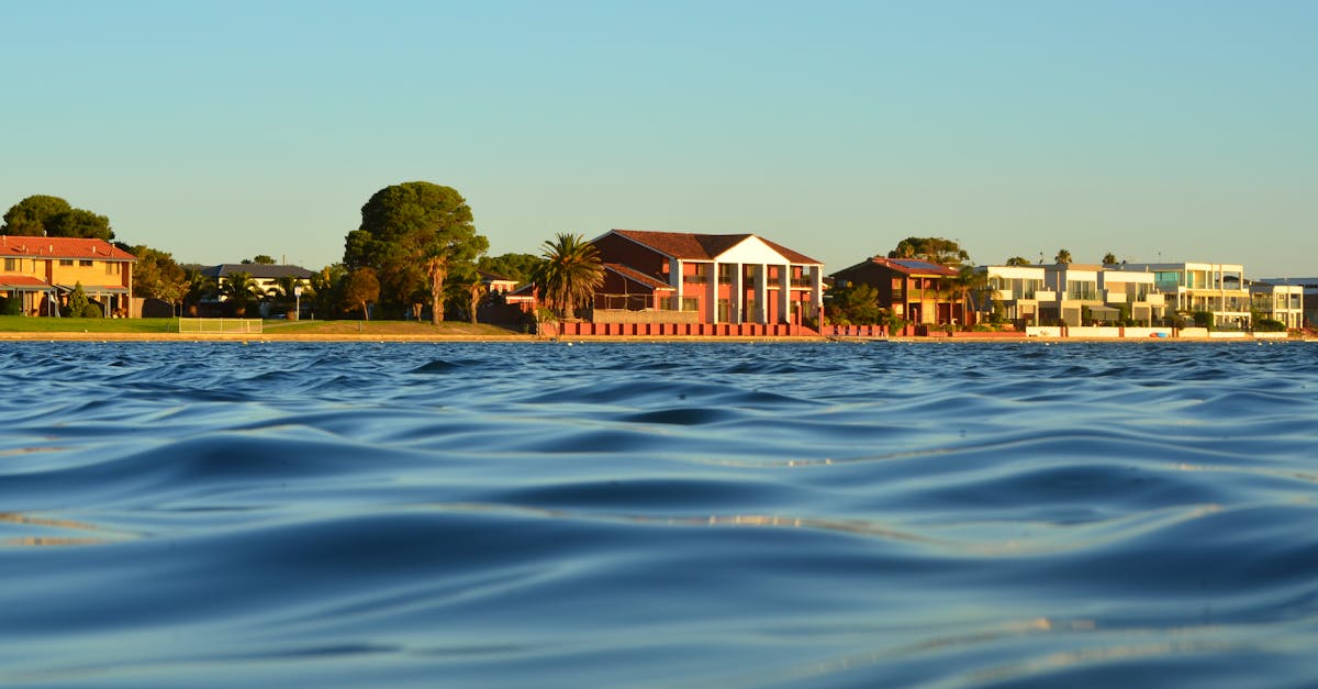 The Role of Homeowner Education in Mitigating Water Damage