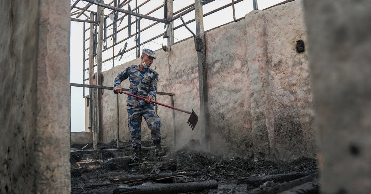 The Role of Professional Services in Content Restoration