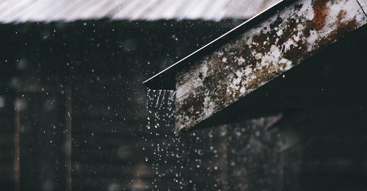 Troubleshooting Common Issues with Water Extraction Devices