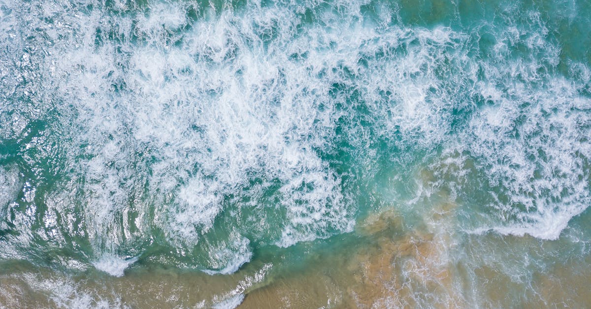 Understanding the Different Types of Water Extraction Equipment